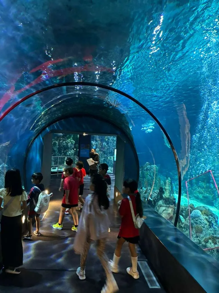Pack 1103 scouts walking through Moody Gardens aquarium tunnel