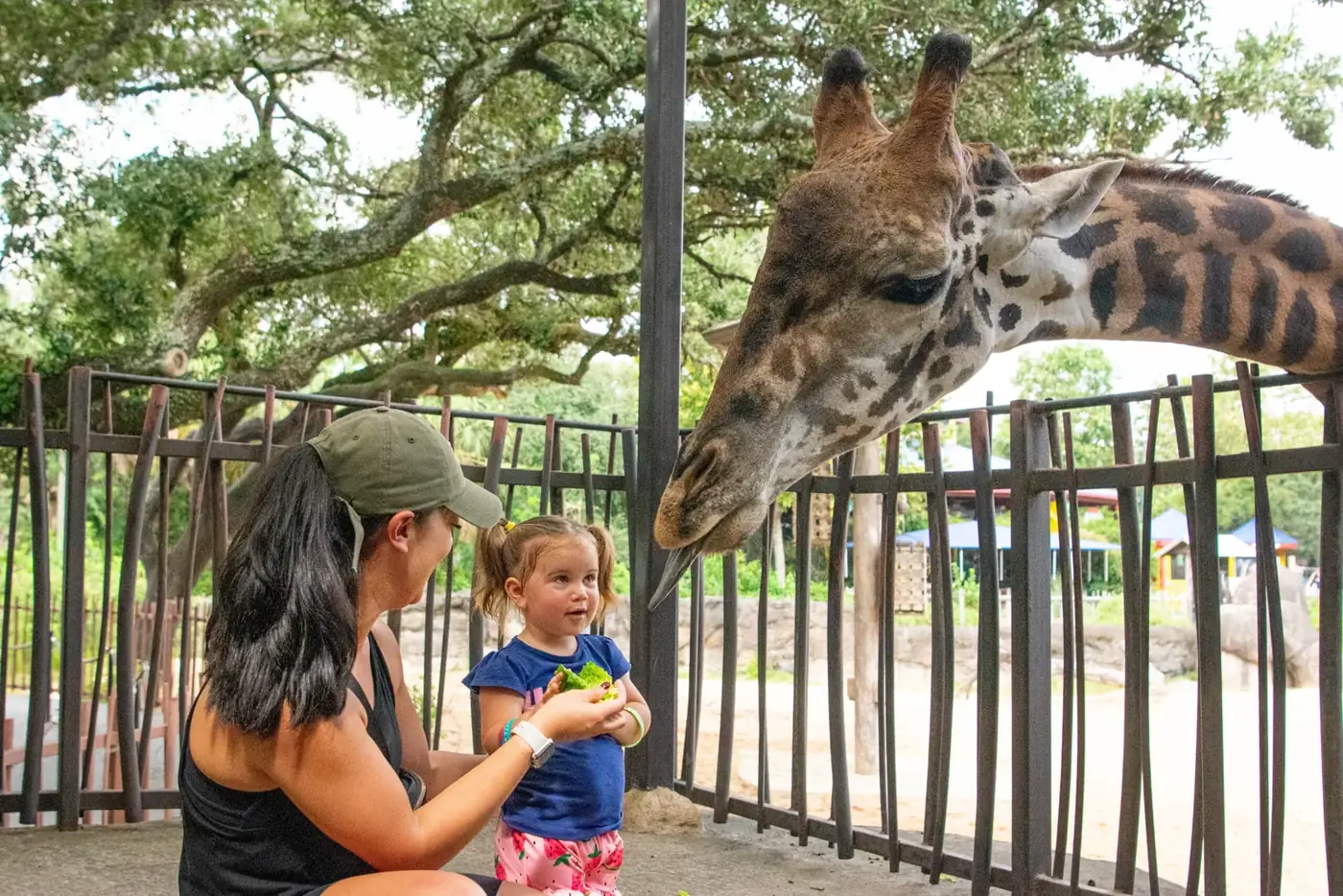 Children at Houston Zoo