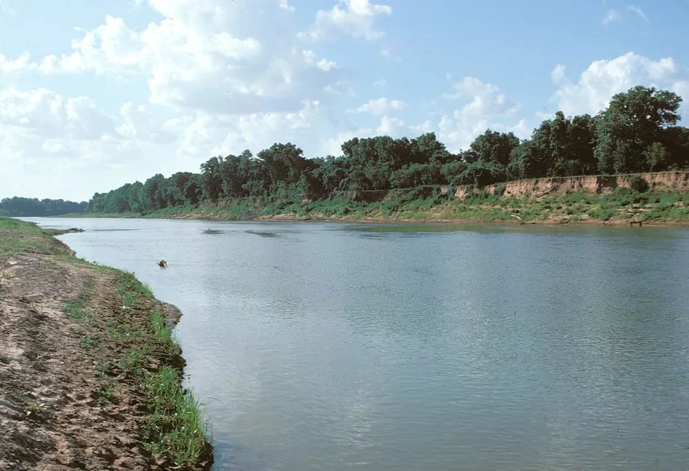 Brazos River at Stephen F Austin State Park